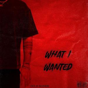 WHAT I WANTED (Explicit)