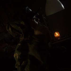 First Day Out (Freestyle) (feat. 14K SOJA) (Explicit)