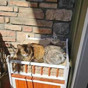 Chillin (feat. Tanner Deveze)