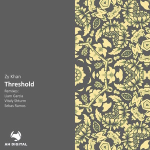 Threshold (Vitaly Shturm Remix)