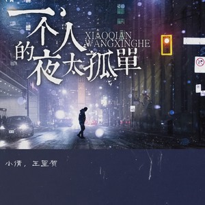 一个人的夜太孤单 (DJ沈念版)