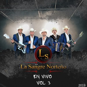 Y Si Tu Amor No Vuelve (En Vivo)