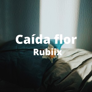 Caida Flor