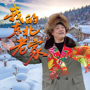 我的东北老家 (DJ巅峰版)