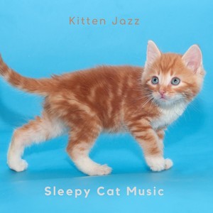 Kitten Jazz