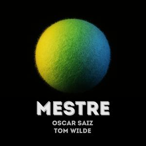 MESTRE (feat. TOM WILDE RUIZ)