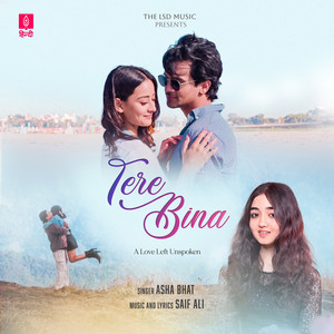 Tere Bina (A Love Left Unspoken)