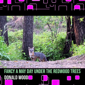 Fancy a May Day Under the Redwood Trees