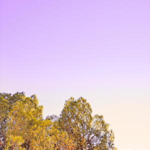 pomegranate wine(feat. Aviscerall)