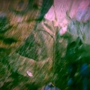 Cinnamon Fog (Kanal Drei Friction Loop Meditation mx)