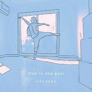 Fish in the Pool