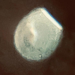 hawaa song for matar