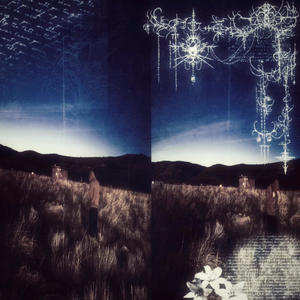 rock (feat. moni & 8ofwxck) (Explicit)