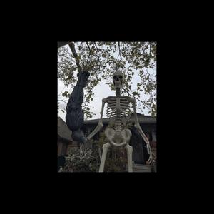 All Tha Thangs You Is Not (Explicit)