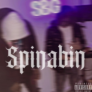 Spinabin (Explicit)