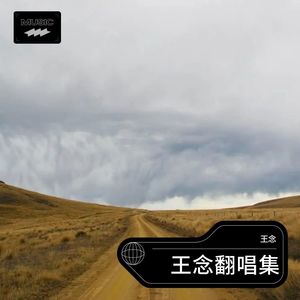 山楂树之恋