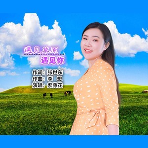 遇见草原遇见你