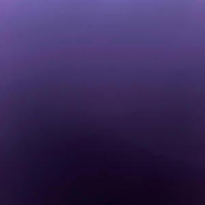 2am (feat. TonyLoww & WayneLoww) (Explicit)