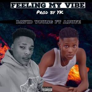 Feeling my vibes (Explicit)