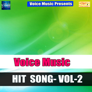 Voice Music Hits Vol - 2