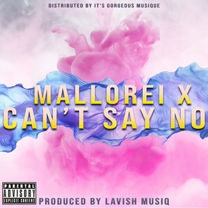 Can't Say No (Explicit)
