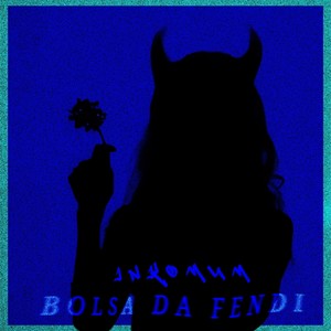 BOLSA DA FENDI (Explicit)