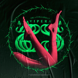 Vipera (Explicit)
