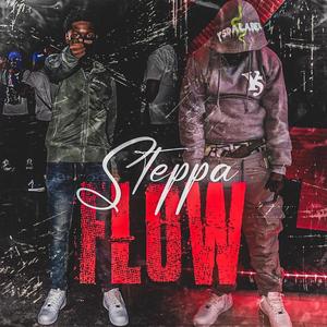 Steppa Flow (feat. Sg Renegade) [Explicit]
