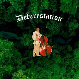 Deforestation