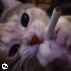 Other side (feat. D0Mi)