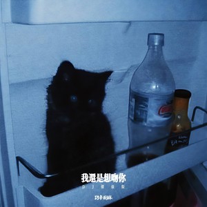 我还是想吻你 (DJ弹鼓版)