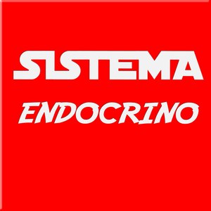 Sistema Endocrino