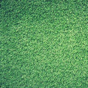 Praiseworthy Passenger