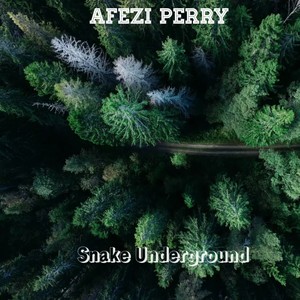 Snake Underground (Explicit)