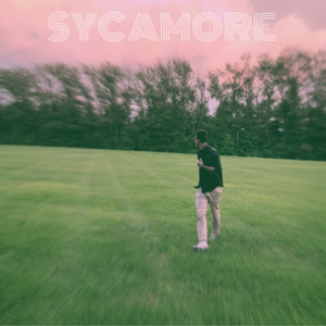 SYCAMORE