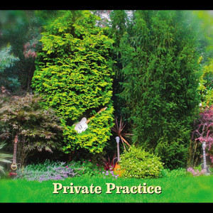 Private Practice (Explicit)