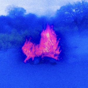 Palusunsystem - Cordillera de los Andes