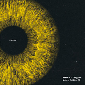 Nothing But Bliss(Feat. Agüita) (Original Mix)