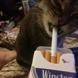 woody hates me : ( (Explicit)