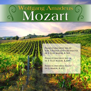 Piano Concerto No. 14 in E-Flat Major, K. 449: III. Allegro ma non troppo