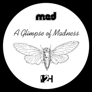 A Glimpse of Madness EP