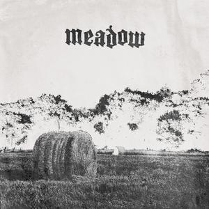 Meadow