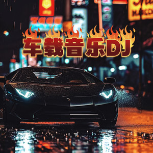 贺一航 - 请先说你好 (dj车载版)