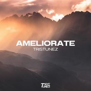 Ameliorate