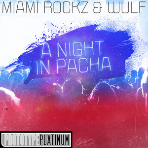 A Night in Pacha (Original)