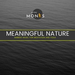 Meaningful Nature - Ambient Music for Meditation and Yoga