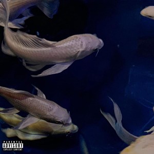 Roses in July (2018 Demo)