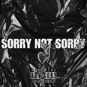 SORRY NOT SORRY (Explicit)