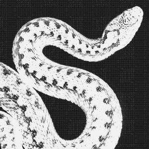 SERÁ X ALGO (Explicit)