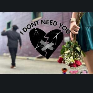 I Dont Need You (Explicit)